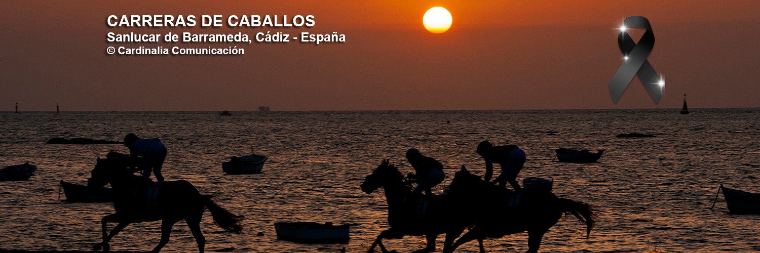 Cardinalia Comunicación banner