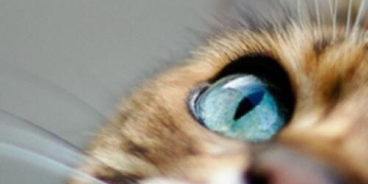 solongas1's profile banner image