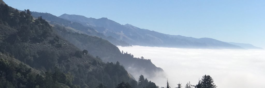 Cole banner