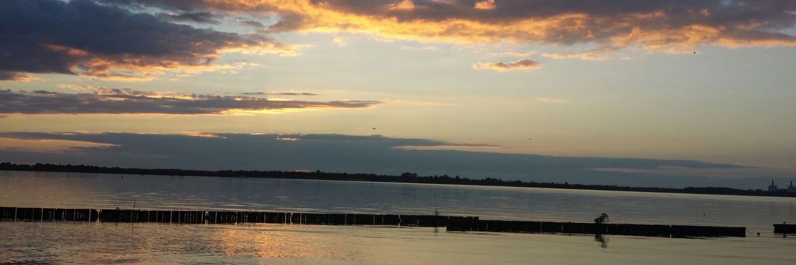 Frou_Postma's profile banner image