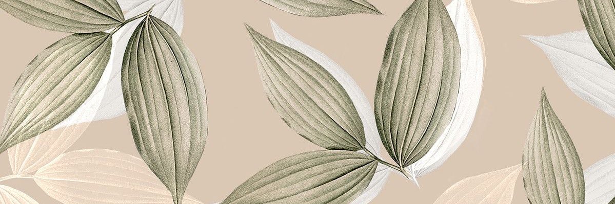 Samantha Silva banner