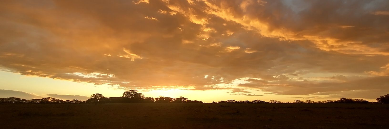 camby102's profile banner image