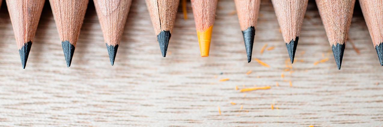 Dave Pickering banner