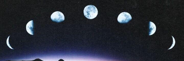Bluntcasso's profile banner image