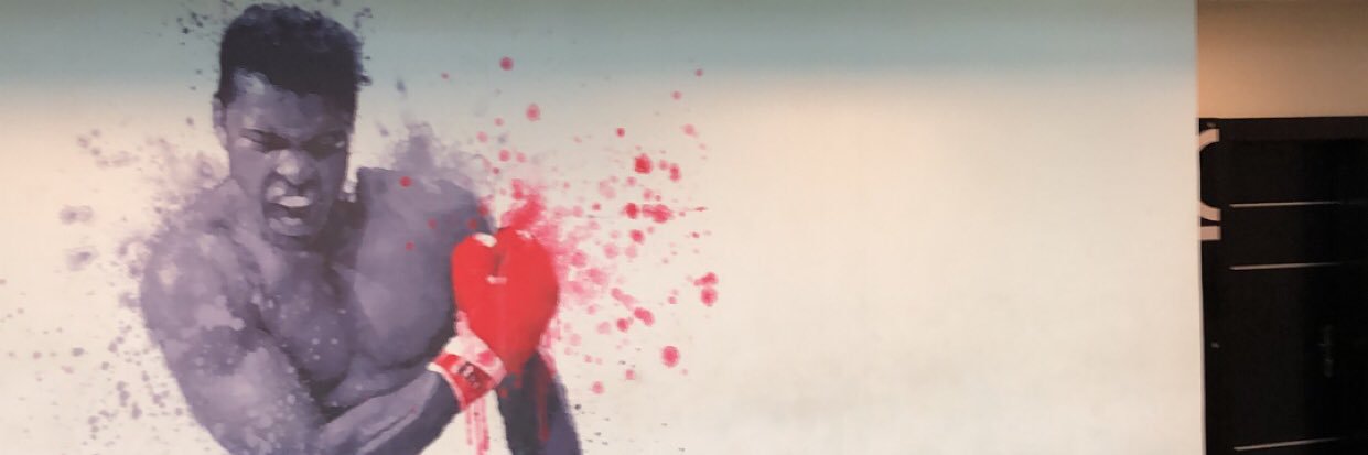 phemochie's profile banner image