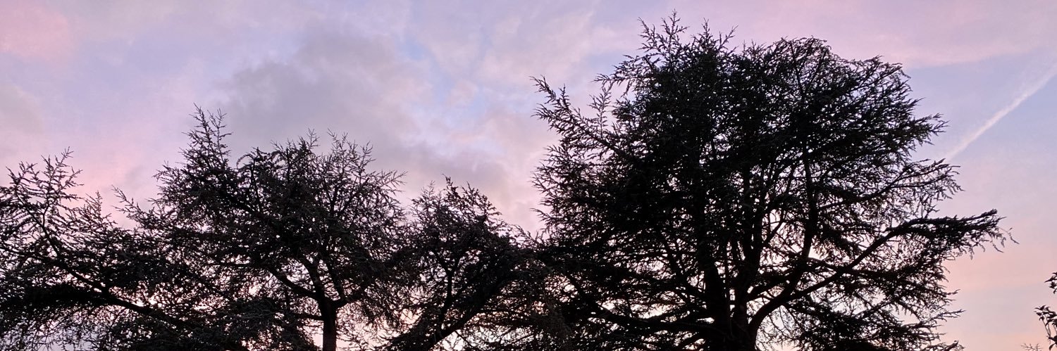 brgs49's profile banner image