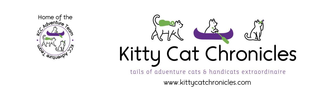 kitcatchronicle's profile banner image