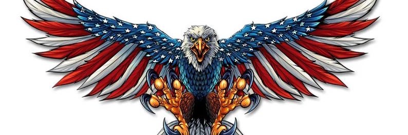 Dave Ebbz 🇺🇸 banner