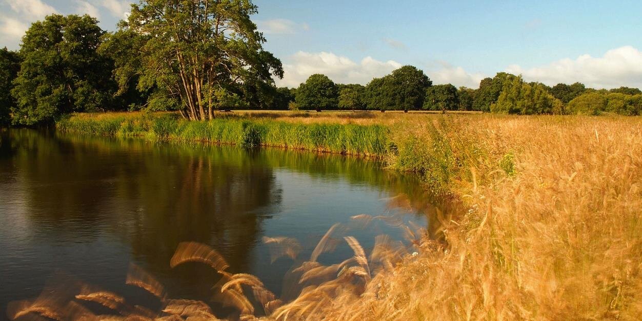 RiverSearch's profile banner image