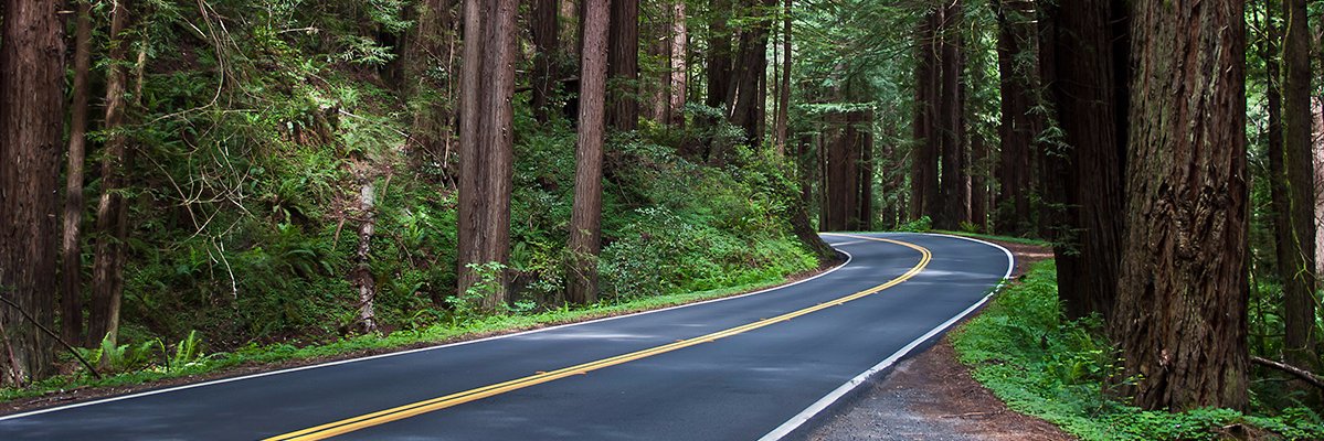 Troy Christmas banner