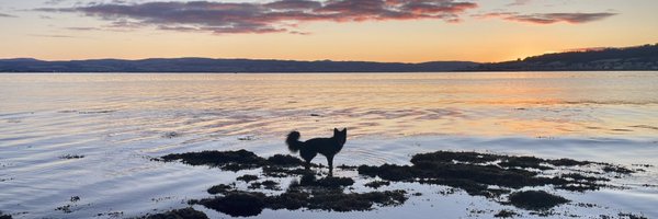 karentinkler Profile Banner