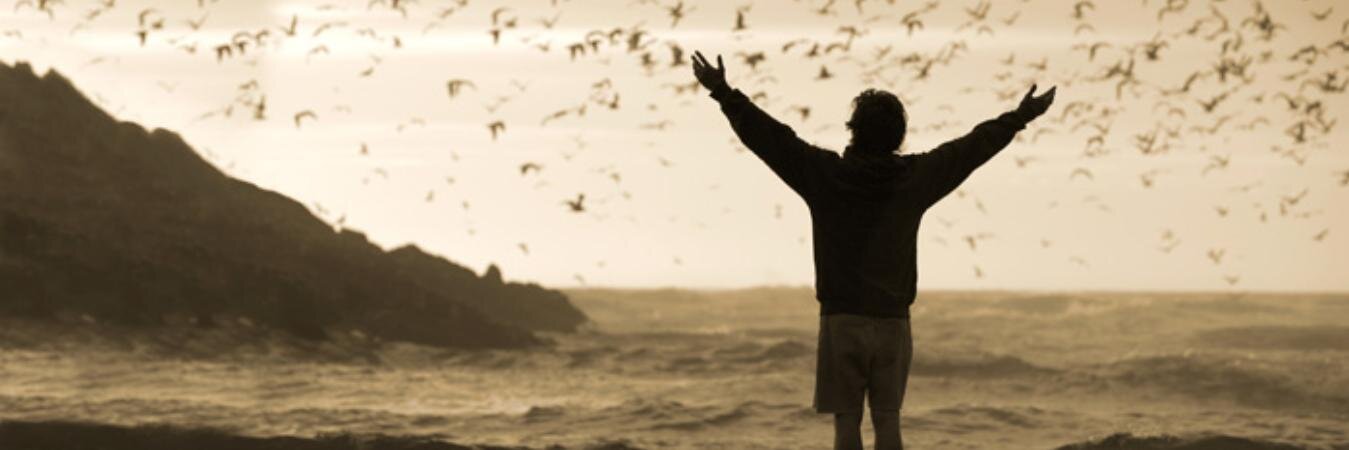 CarlosL6's profile banner image