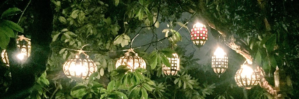 Bec2552's profile banner image