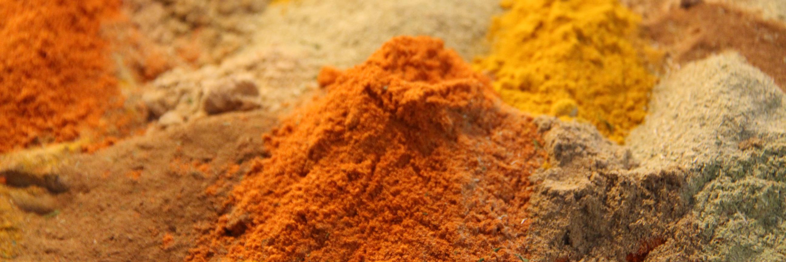 marina beccantini banner