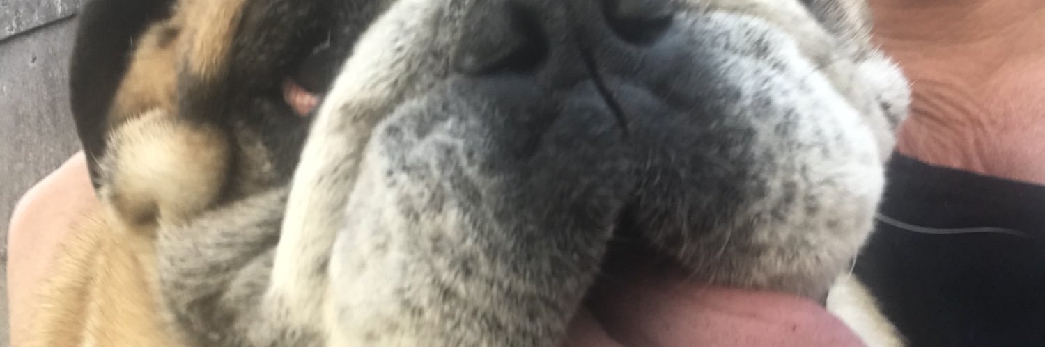 needs_a_hat's profile banner image