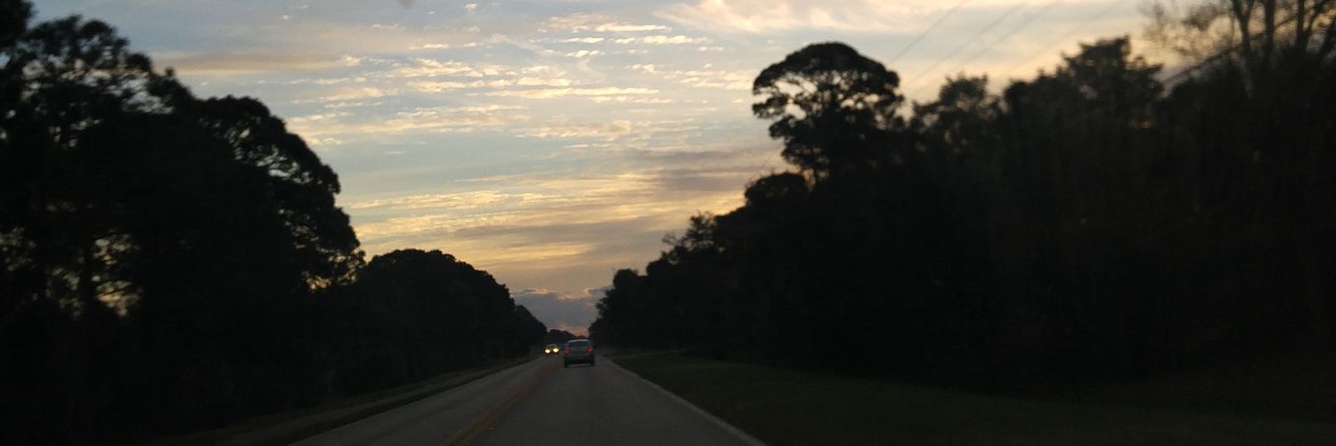 LittleMissAudio's profile banner image