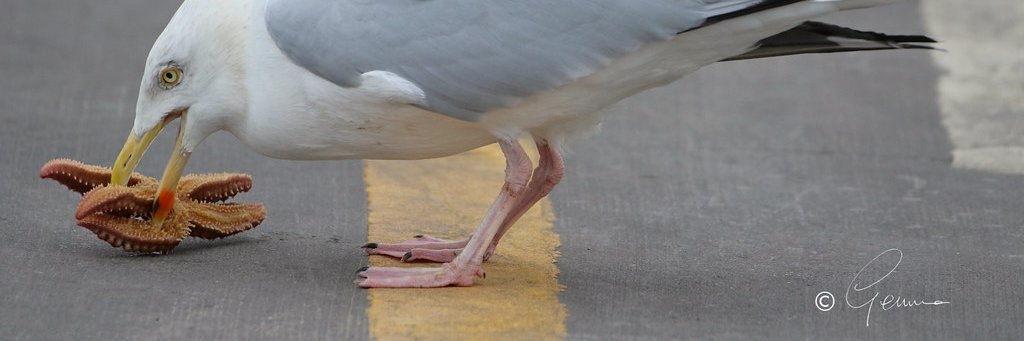 e_info's profile banner image