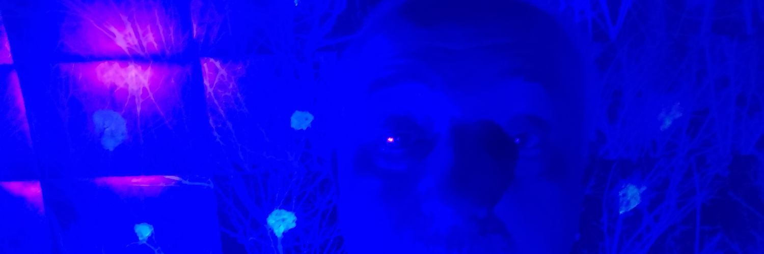 Michele Smargiassi banner