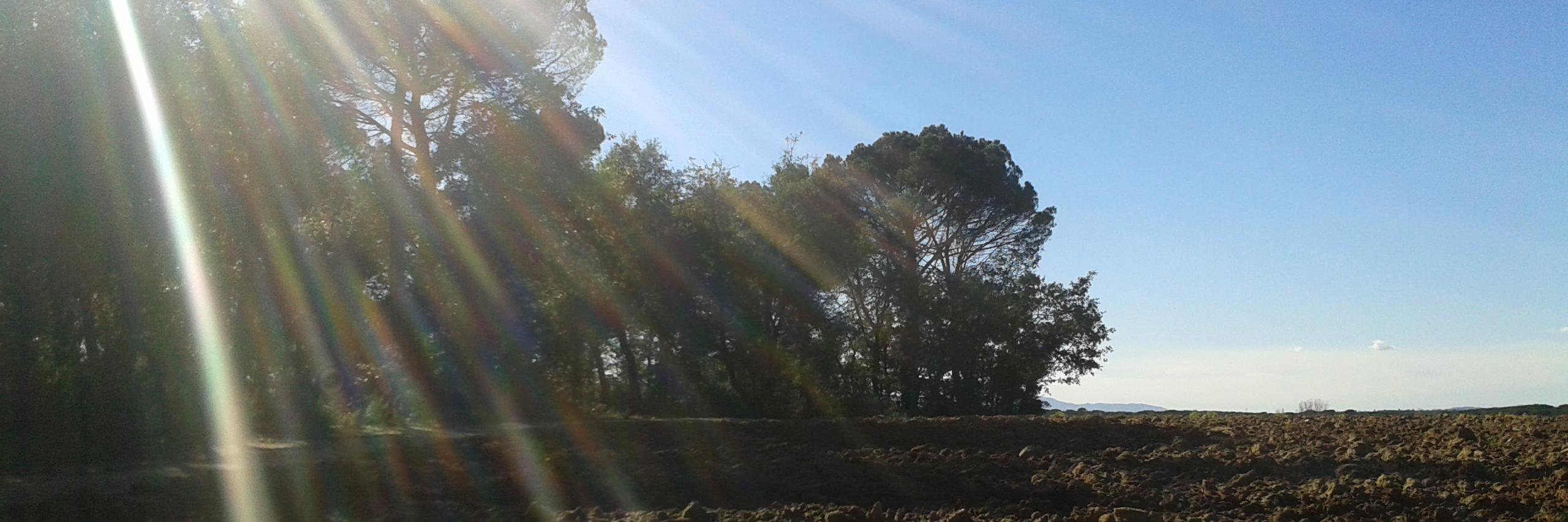 Raquel Font Lladó banner