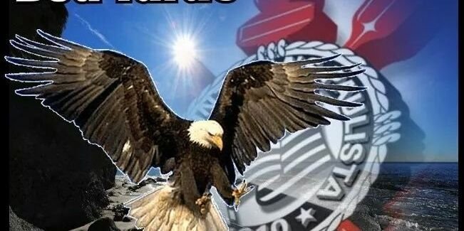 Andre_timao09's profile banner image