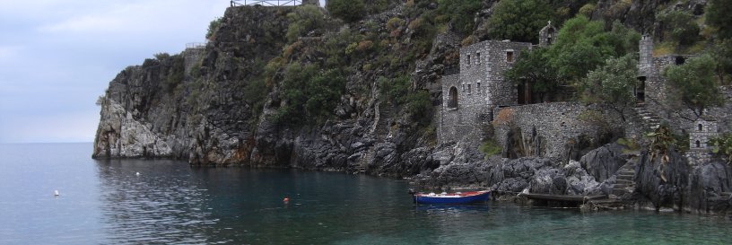 Ariane Millot banner