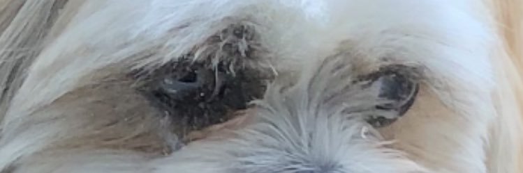 kinnally1's profile banner image