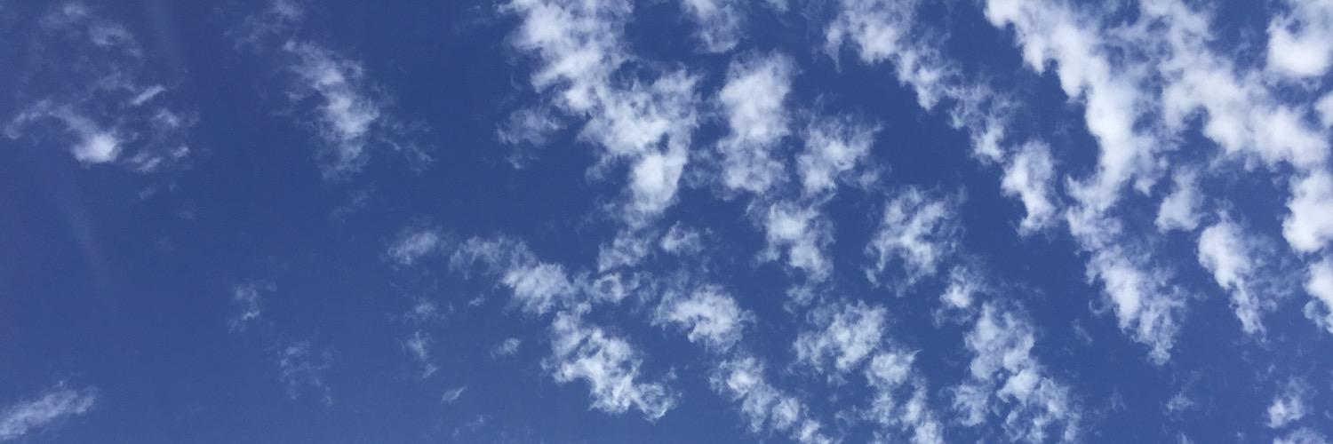futurejunkie's profile banner image