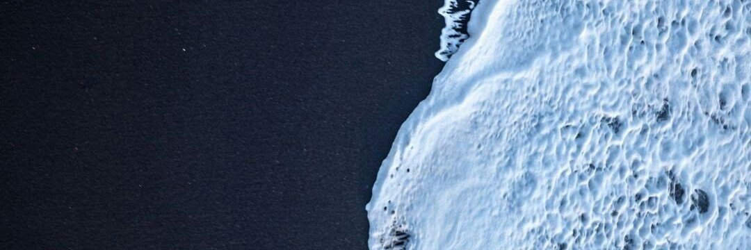 Paleloser's profile banner image