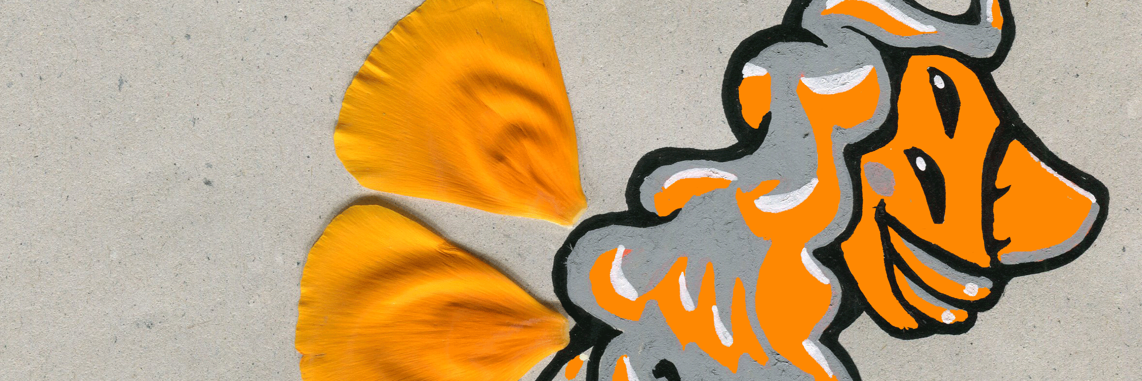 Ainize Madariaga banner