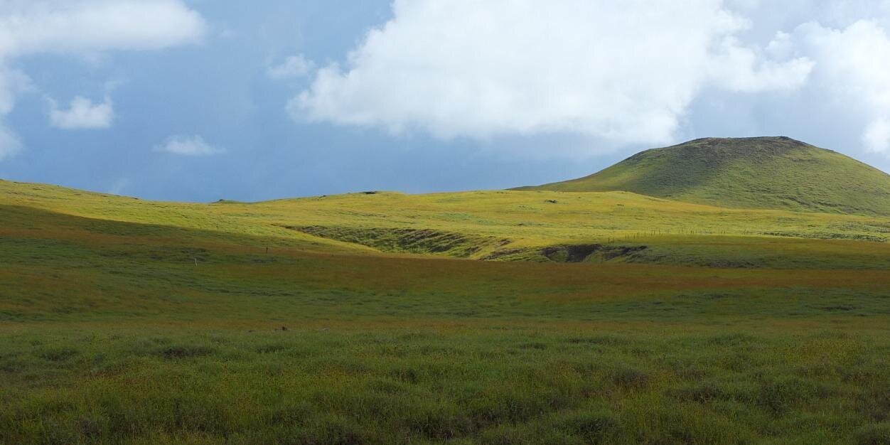 CONAF_RAPANUI's profile banner image
