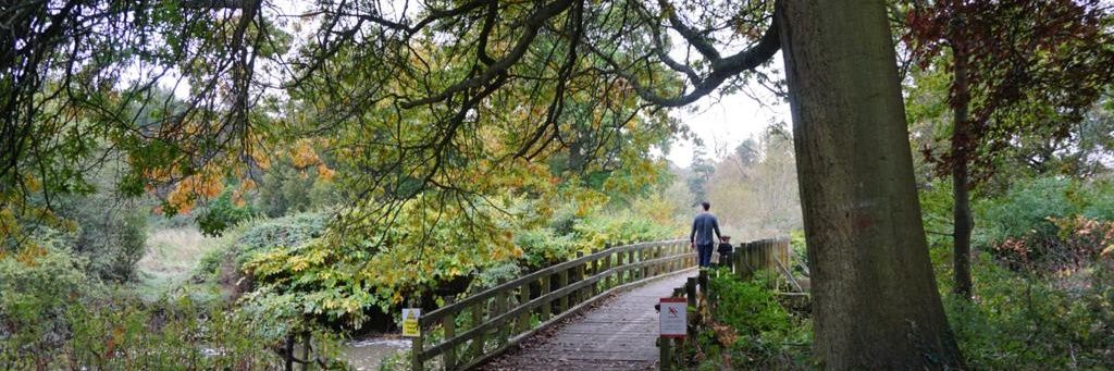 Greg Liv banner
