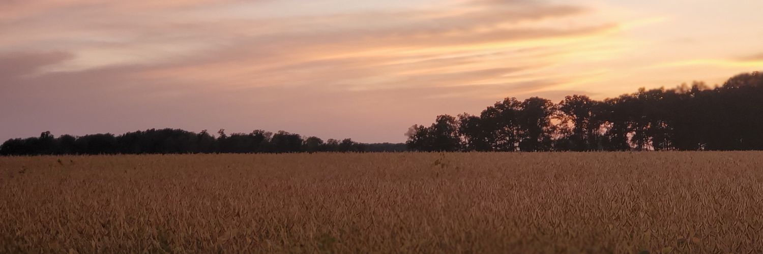 saponarel's profile banner image