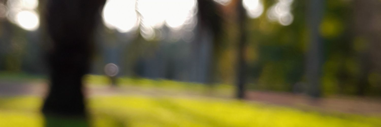 dayrb_tl's profile banner image