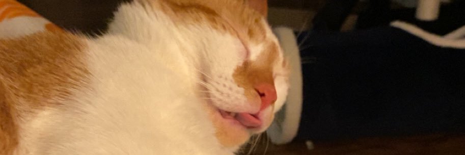 devynitelynot2's profile banner image