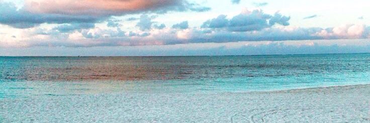 Color_Me_CoCo's profile banner image
