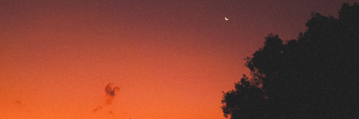 sunnydaysecrets's profile banner image