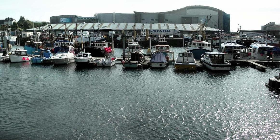 Reconnect Seafood banner