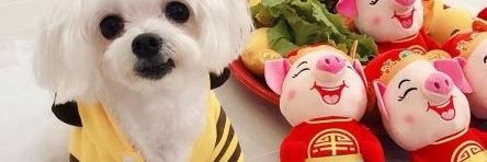 r19920120's profile banner image