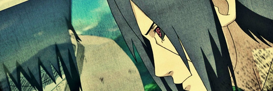 DillonTheFox's profile banner image