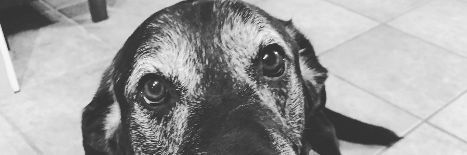 iLovePickles30's profile banner image