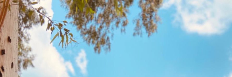 IKocahan's profile banner image