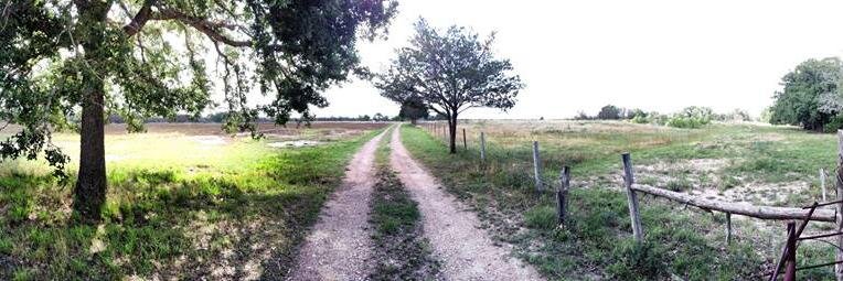 Russell H. Withers banner