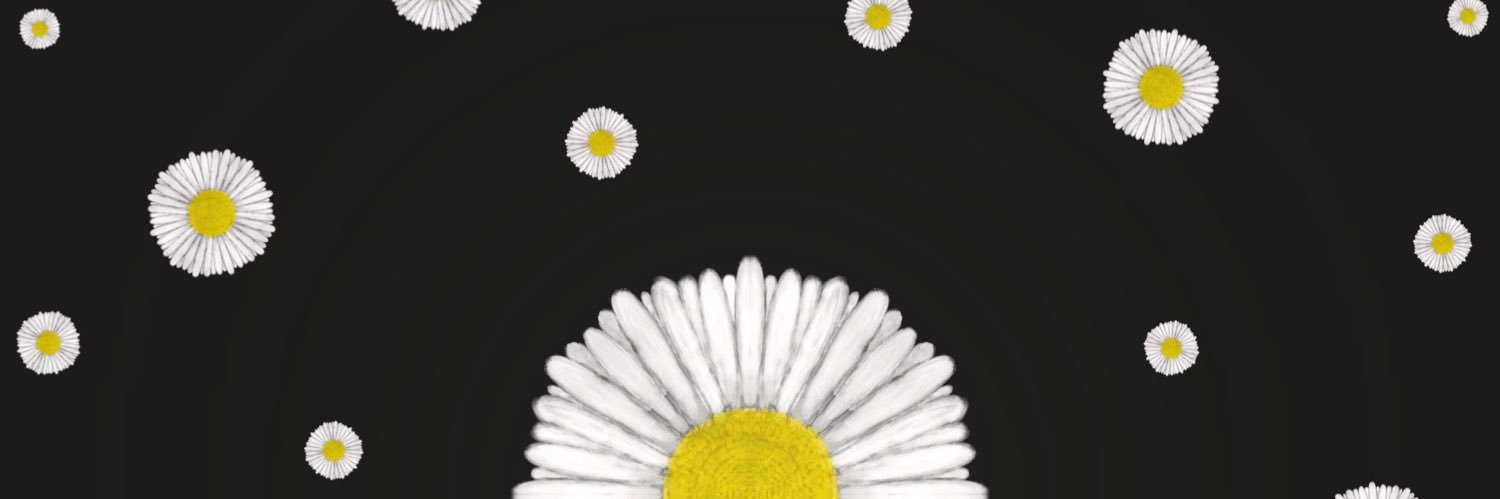 ardipllana's profile banner image