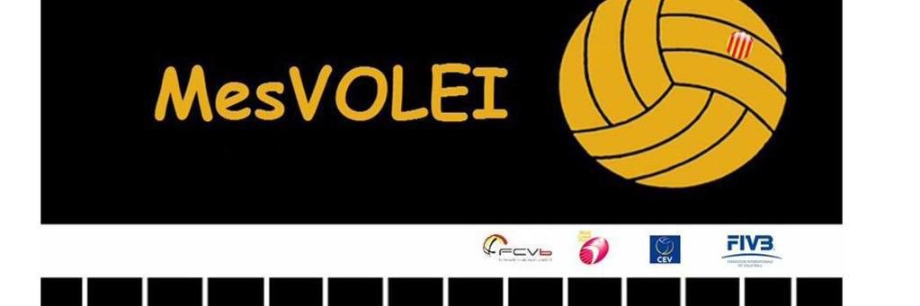 MesVOLEI's profile banner image