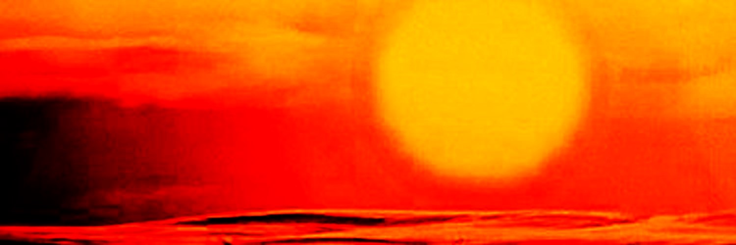 💫TARDMAXXING Your Timeline 💫's banner