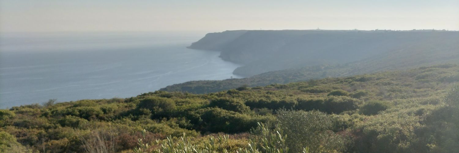 RAfonso19's profile banner image