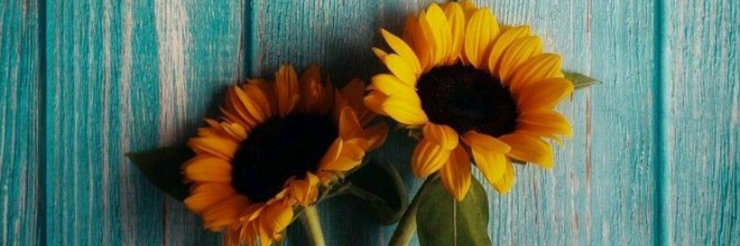 kemb_ky's profile banner image