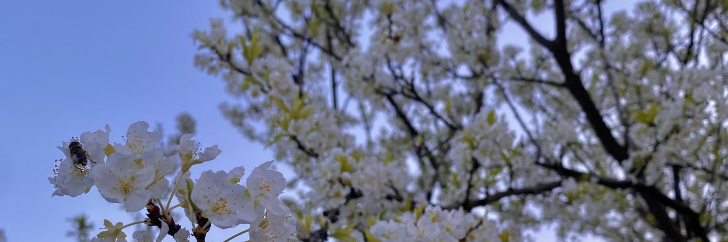 🌞 banner