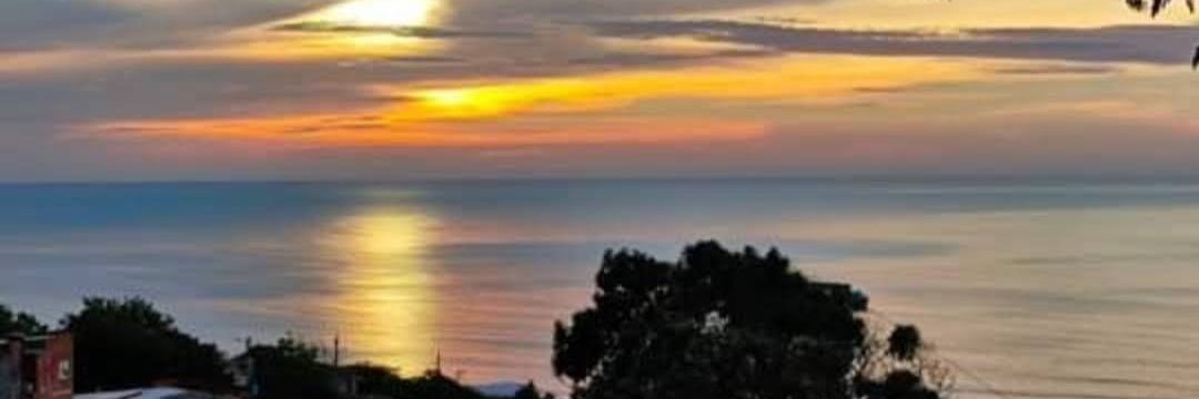 Puerto Colombia Humana y Ecológica banner