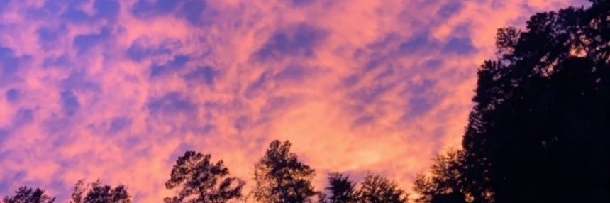 _nicolem22's profile banner image